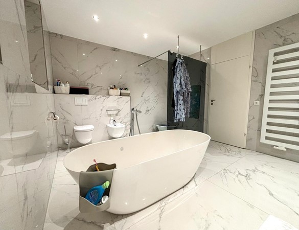 PHOTO-2026-04-05-17-07-38 5.jpg